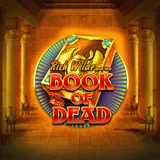 Miniatura de la tragaperras Book of Dead